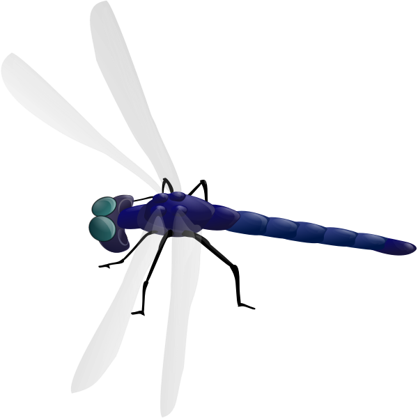 Dragonfly drawing