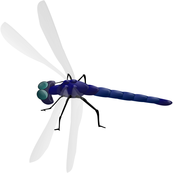 Download Dragonfly Drawing Free Svg