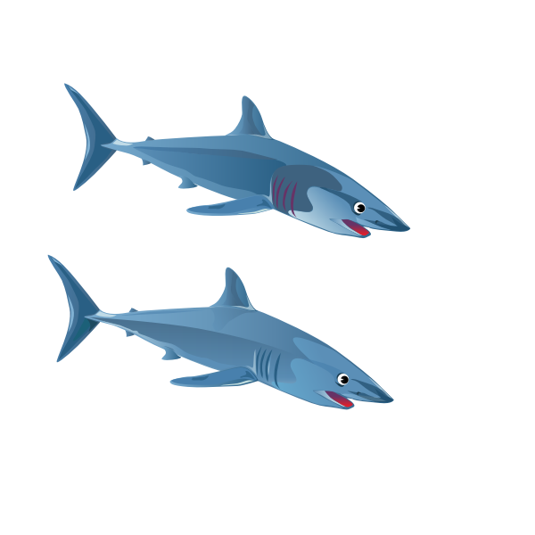 Two sharks