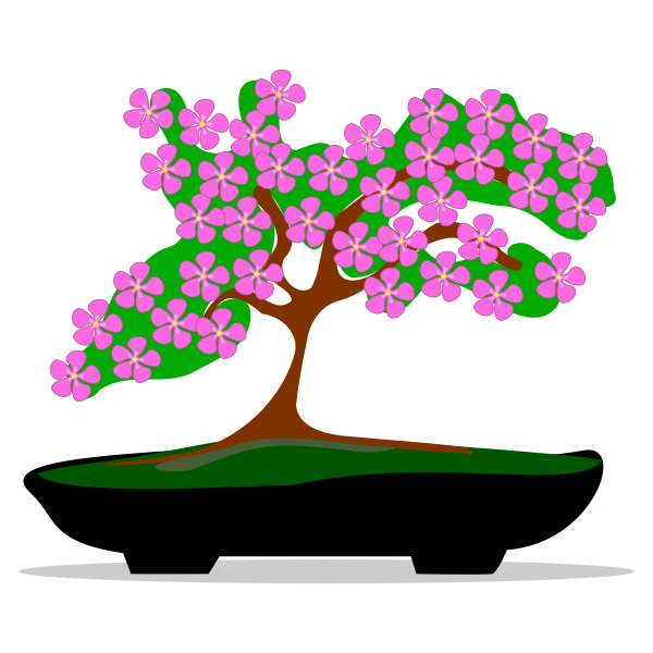 Bonsai tree-1625695978