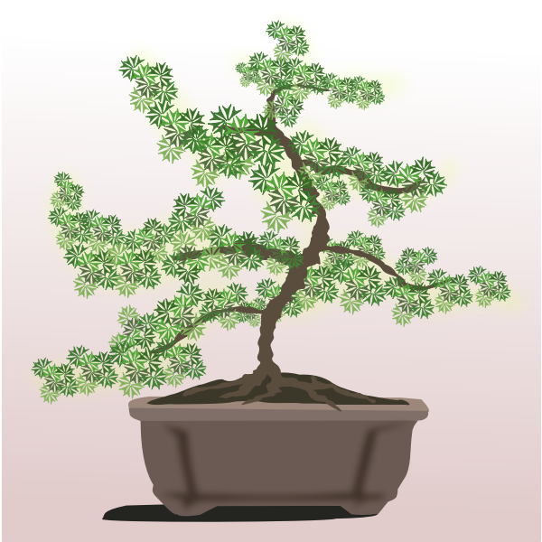 Bonsai tree-1628803750