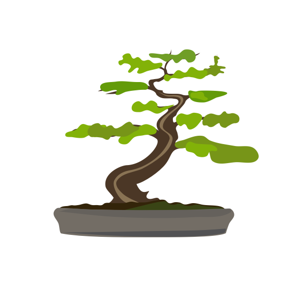 bonsai modified