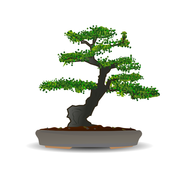 Bonsai tree vector drawing Free SVG