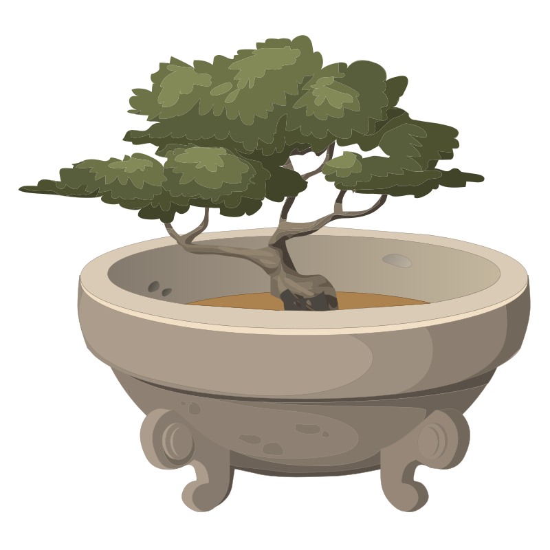 Bonsai in a pot