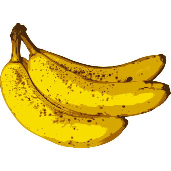 Bunch of bananas-1574071346
