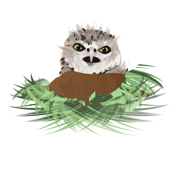 Vector drawing of burrowing owl in its den