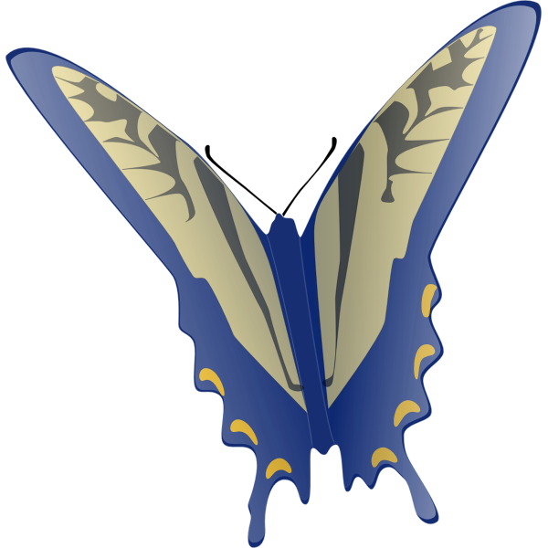 Download Blue butterfly | Free SVG