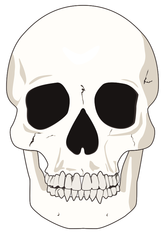White skull-1635536980