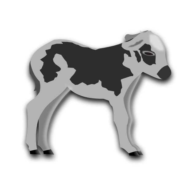 Calf grayscale vector graphics