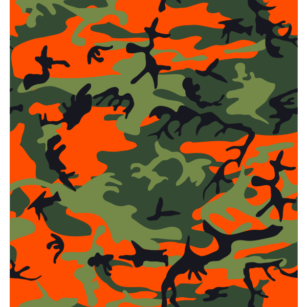 Hunter's camouflage print vector image