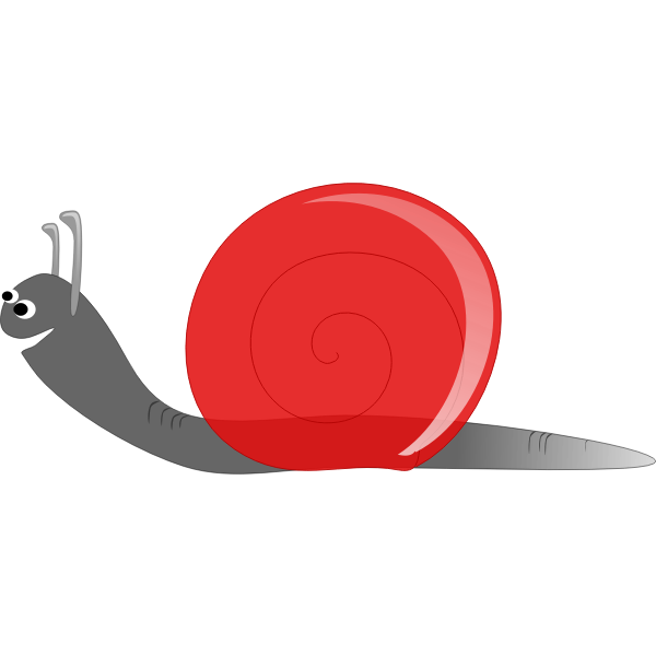 Snail with red house