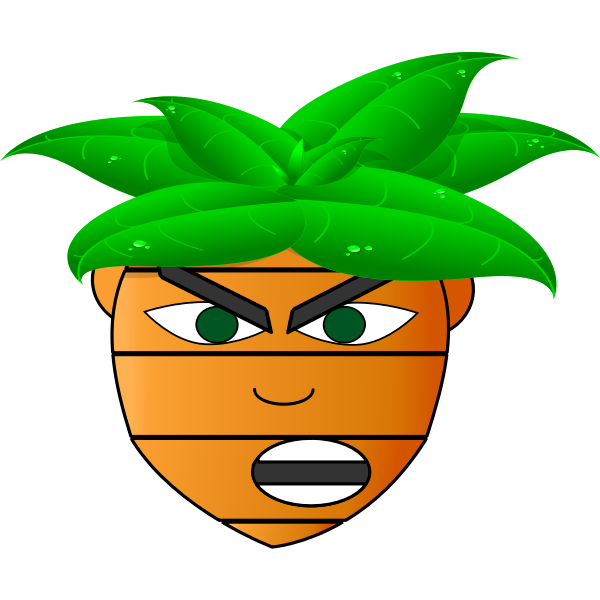 Carrot man's head