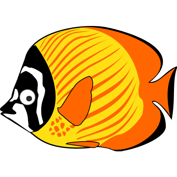 Tropical ocean fish
