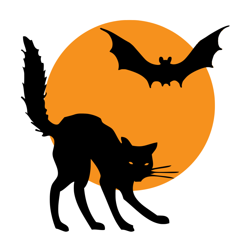 Bat and a cat