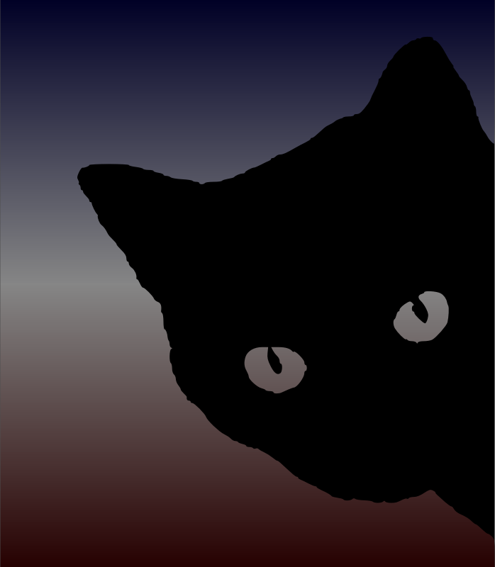 Black cat-1636756315