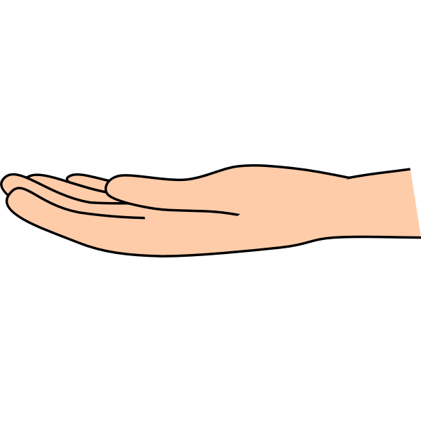 Open hand palm