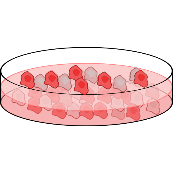 Image of cell culture dish | Free SVG