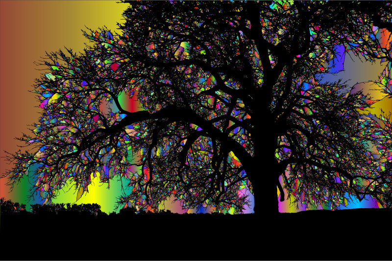Tree silhouette in rainbow sky