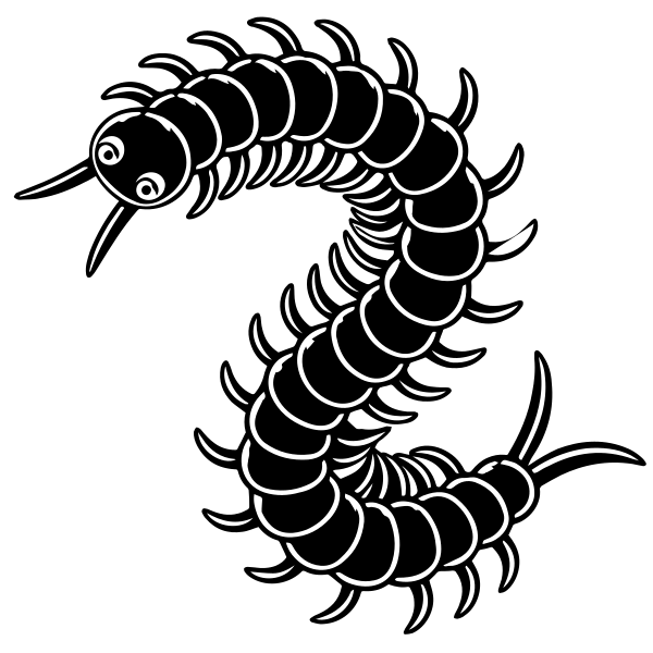 Centipede Silhouette Vector