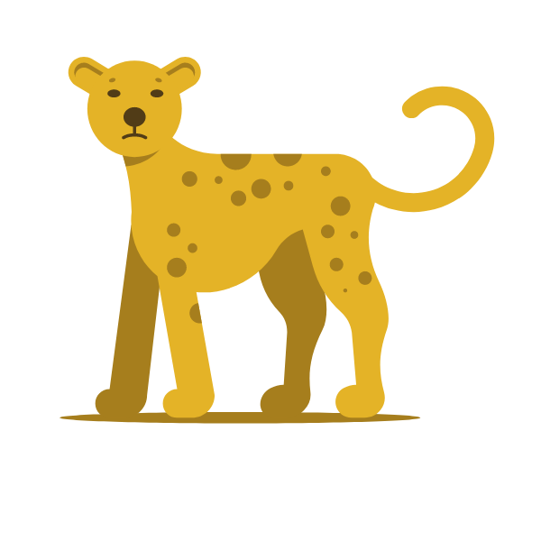 A cheetah