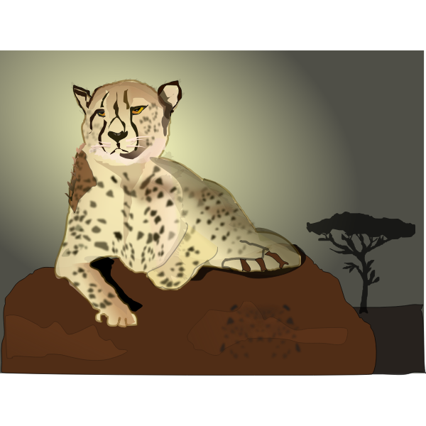 Cheetah lying on rock vector image
