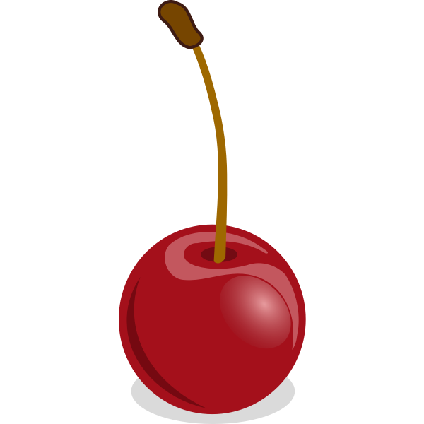 Vector graphics of cherries with petiole