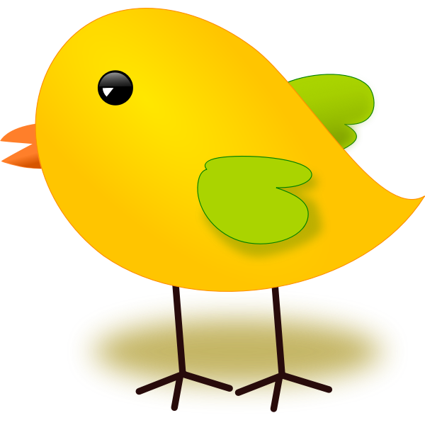Yellow chick vector image