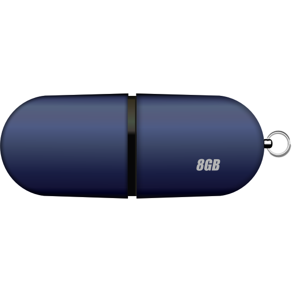 8GB USB stick vector image