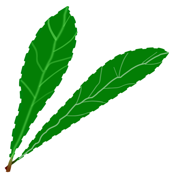 Green leaves pair