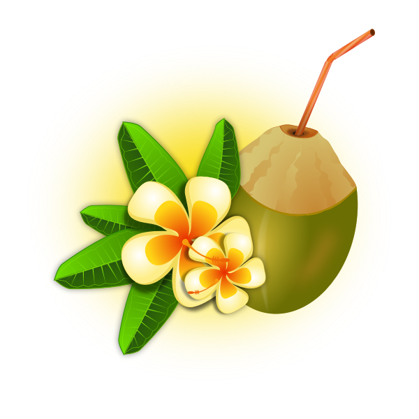 Coconut cocktail vector graphics