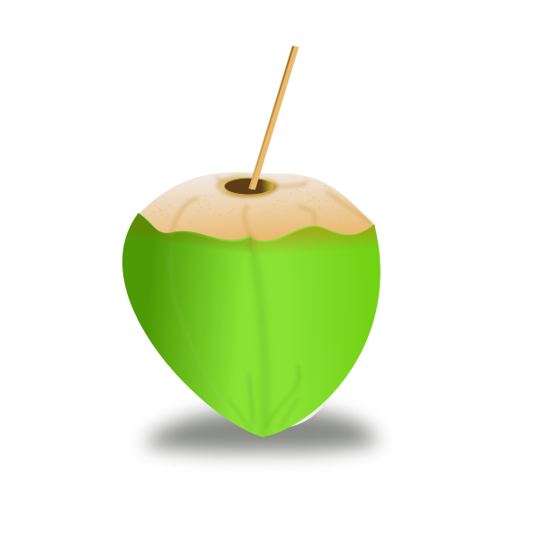 Green coconut vector image | Free SVG