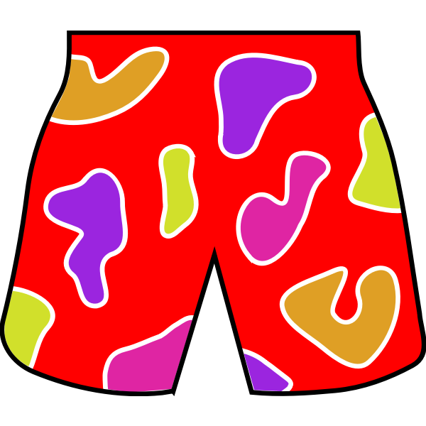 Colorful beach shorts vector image