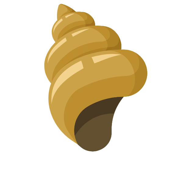 Sea snail