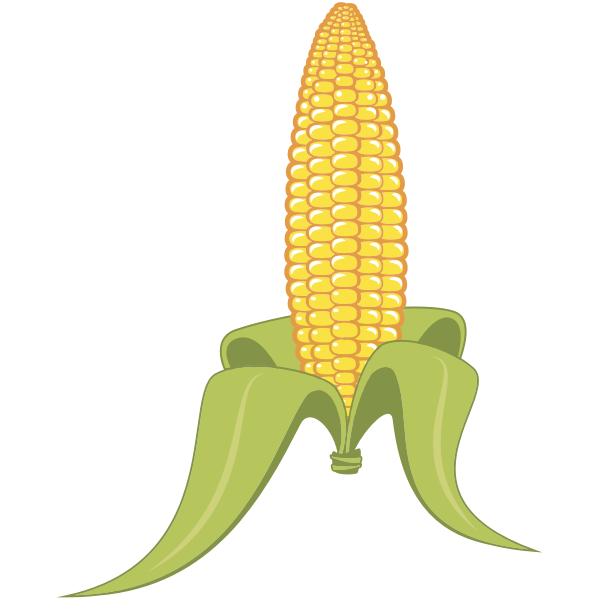 Download Corn | Free SVG