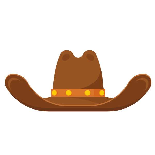 Brown cowboy hat