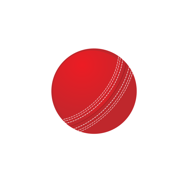 Cricket ball vector image