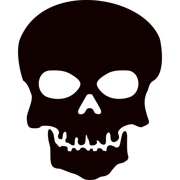 Image of pirate skul