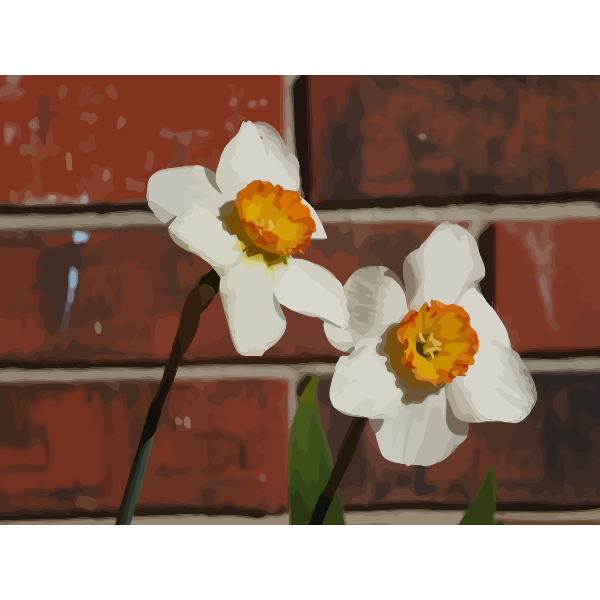 daffodils 09
