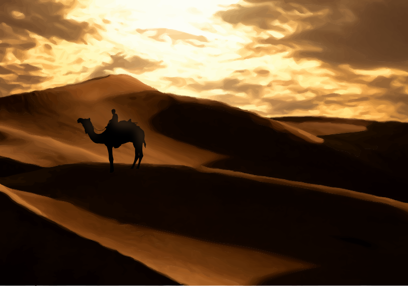 Desert Dunes with A Camel