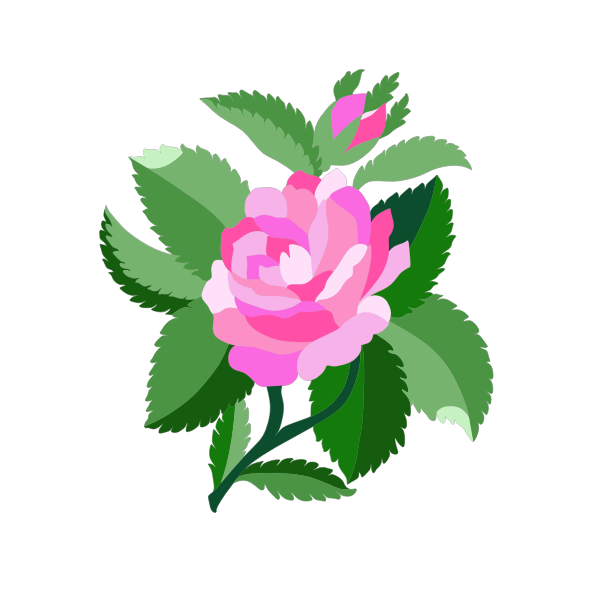 Design for damask rose