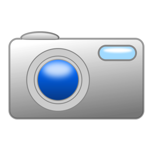 Digital photo cam vector image