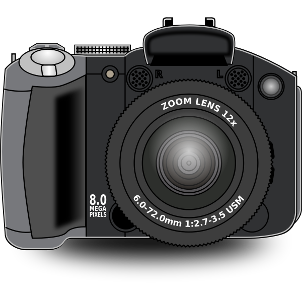 Digital zoom camera