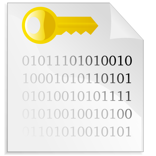 Encrypted file icon vector image