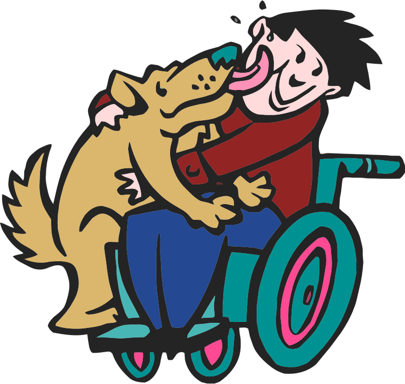 Dog with boy in wheelchair