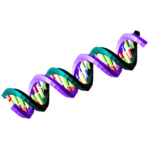 double-stranded-dna-sequence-free-svg