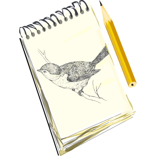 Sketchpad drawing of a bird on a pad