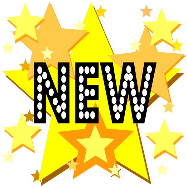 New on stars sign vector image