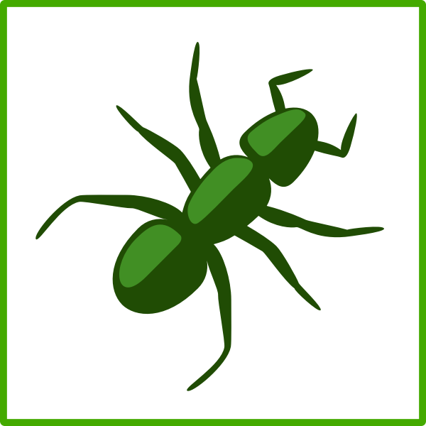Green spider vector drawing