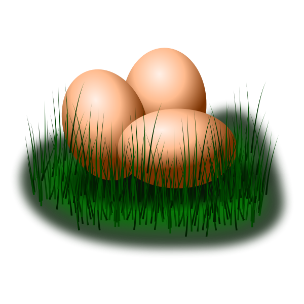 Eggs in grass vector image