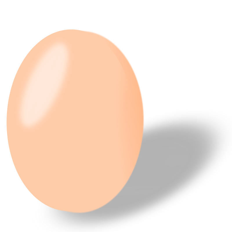 Egg-1641246767